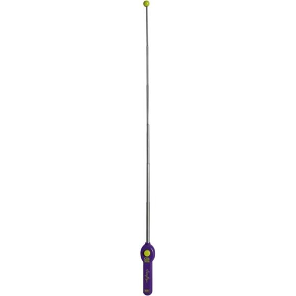 Clik Stik for Pet Training - Picture 2 of 6